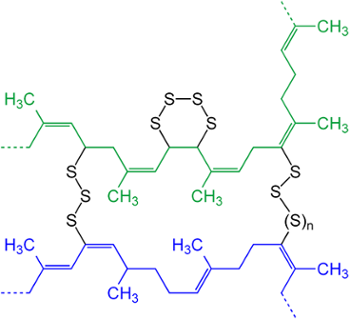 Cấu trúc phân tử cao xu
