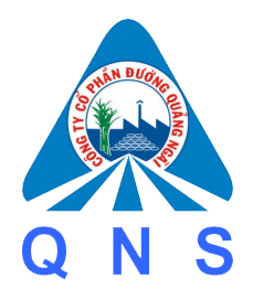 QNS logo